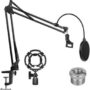 Arm stand, Pop Filter and shock mount