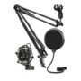 Arm Stand , pop filter and shock mount