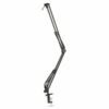 professional recording stand microphone