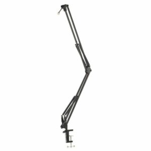 professional recording stand microphone