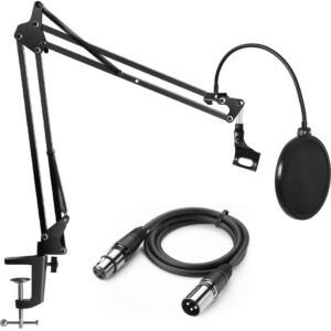 cable xlr , Pop Filter and  Arm Stand